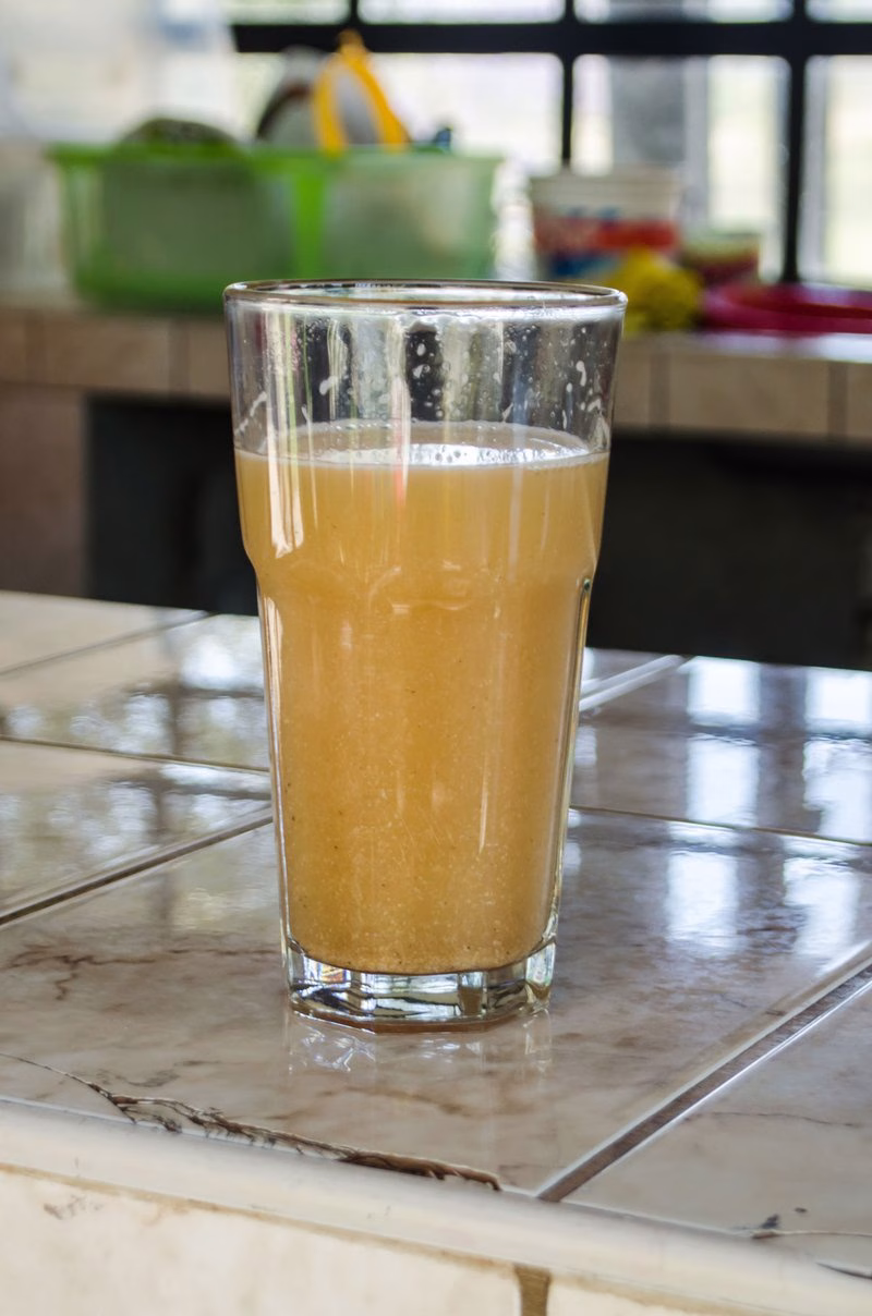 Chicha De Jora (Corn Beer)