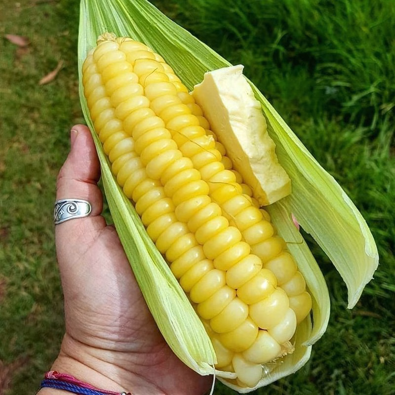 Choclo Con Queso (Corn With Cheese)