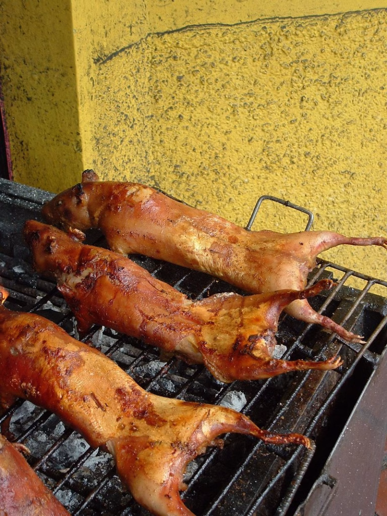 Cuy Con Choclo (Guinea Pig With Corn) Recipe - Cook Your Yummy Cuisine